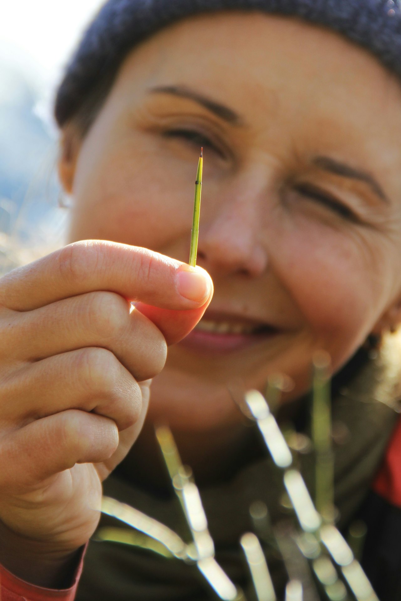 STIKK: En av de milliarder pigger man må forholde seg til på tur Sør-Amerika. Foto: Kjell Harald Myrseth pigg torner