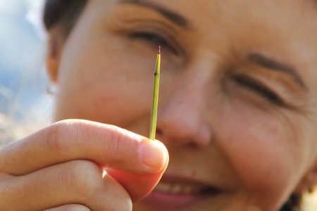 STIKK: En av de milliarder pigger man må forholde seg til på tur Sør-Amerika. Foto: Kjell Harald Myrseth pigg torner