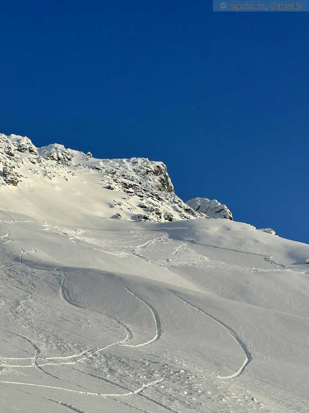 SPOR INN I SKREDET: Finn & Co snudde, men noen timer senere ble det observert skispor inn i et skredområde samme sted på skredvarslingen i Lyngen. Foto: RegObs / Staysafe