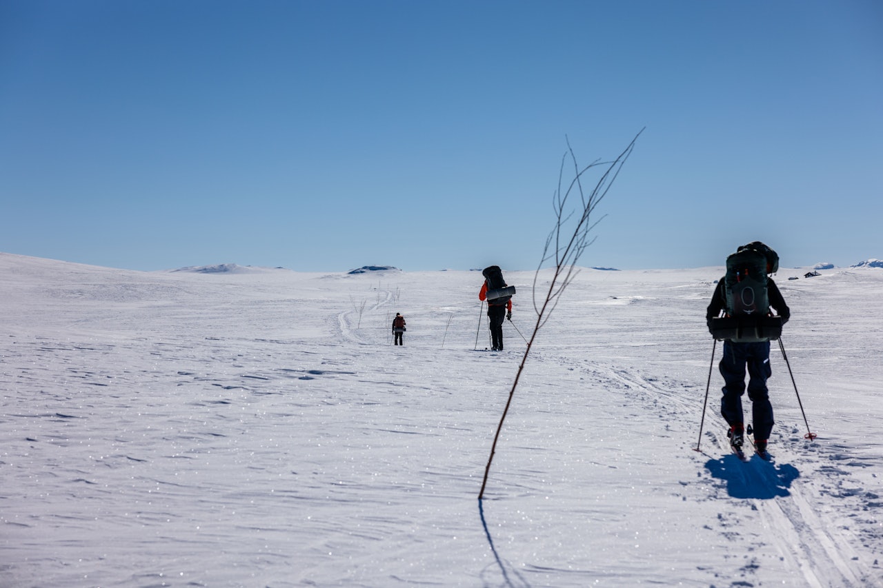 FJELLSKI-DRØMMEN: Fra en dag med strålende skiforhold på Hardangervidda. Foto: Jørgen Braastad