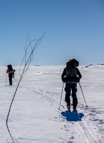 FJELLSKI-DRØMMEN: Fra en dag med strålende skiforhold på Hardangervidda. Foto: Jørgen Braastad