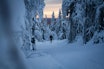 LANGRENNSVINTER: Fra en skitur nord i nordmarka i desember. Foto: Gunhild Aa. Soldal skitur i marka