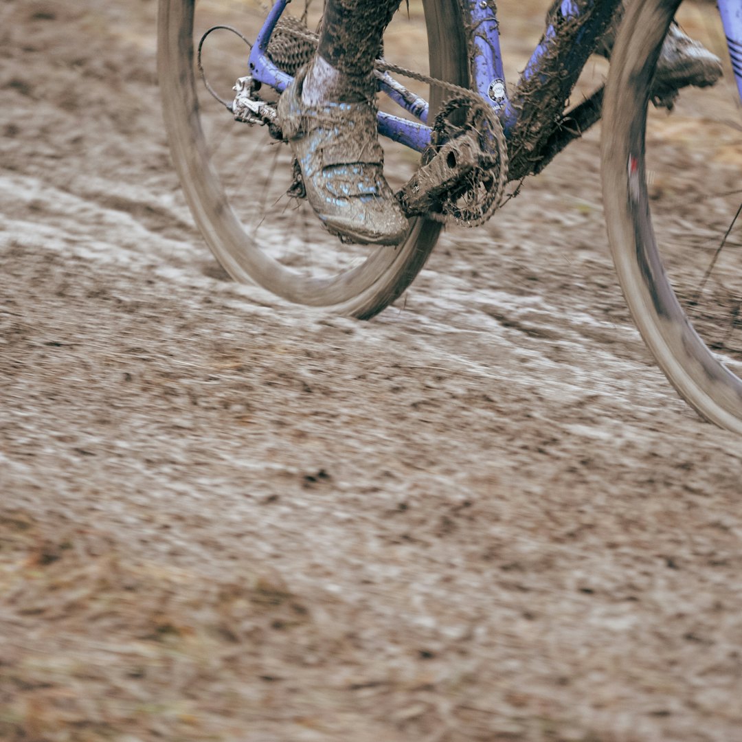 SØLEKAKER: Allerede på første runde så de fleste slik ut. SØLEKAKER: Allerede på første runde så de fleste slik ut.