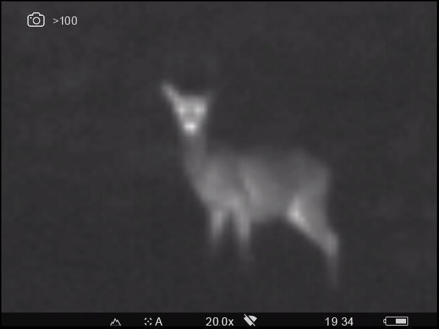 20x forstørrelse er for mye og gir uskarpt bilde uansett sensor. Hvorfor tilbyr produsentene oss så mye digital zoom? Foto: Egill J. Danielsen 20x forstørrelse er for mye og gir uskarpt bilde uansett sensor. Hvorfor tilbyr produsentene oss så mye digital zoom? Foto: Egill J. Danielsen