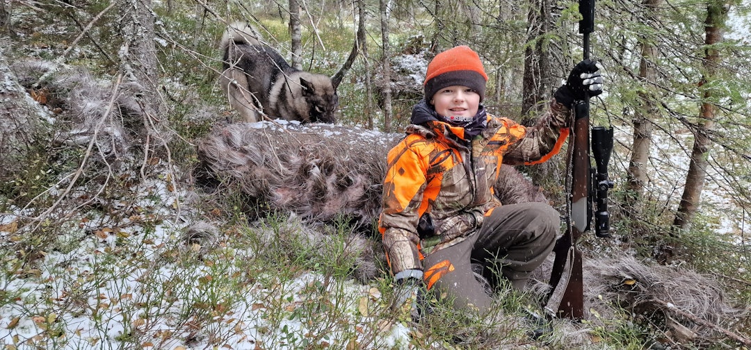 FØRSTE ELGFALL: Marius (9) fikk oppleve sitt første elgfall denne høsten da han var med på jakt. Som vanlig var Ero snill og grei på fallet. (Foto: Privat)