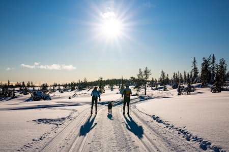 KLASSISK FRIHET: Snø, ski, dagslys og gleden av å kunne gå side om side i løypa. langrenn på budor