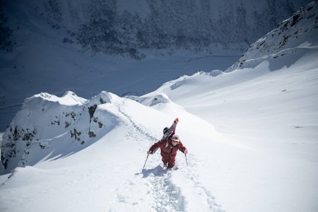 HJEMMEBANE: Trygg har de siste årene bodd Volda. Foto: Emil Leenderts HJEMMEBANE: Trygg har de siste årene bodd Volda. Foto: Emil Leenderts