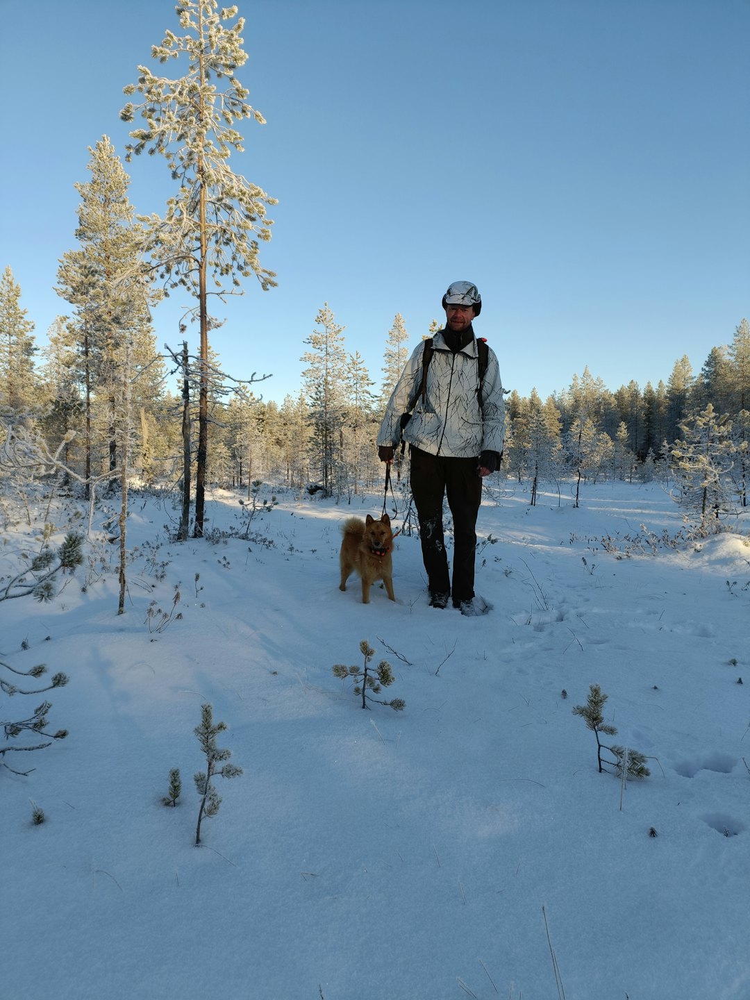 FINLAND: Morten Røine og finskspetsen Kollanruds Aino trivdes godt i snødekte finske skoger.
