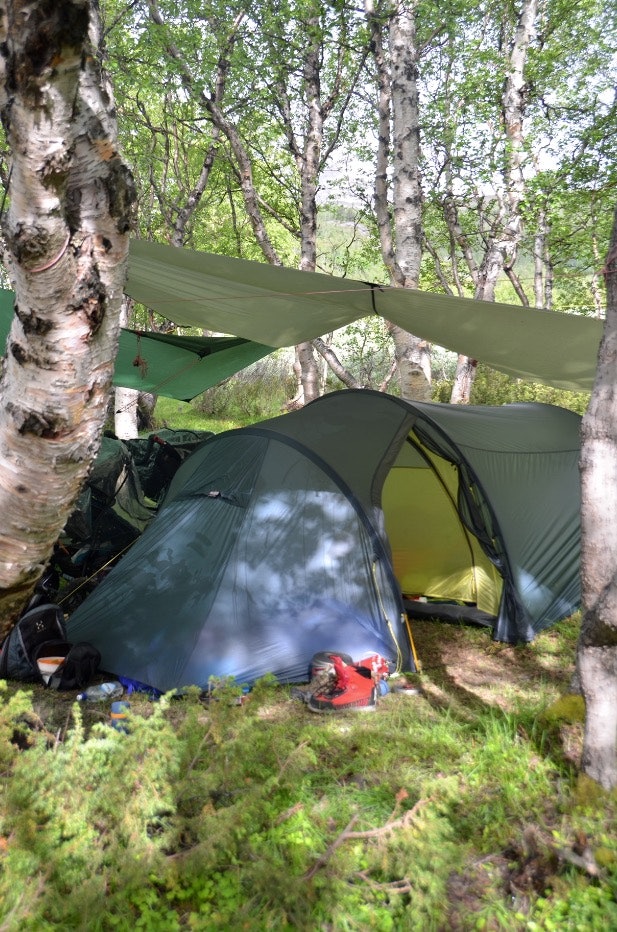 EKSTRA DUK: Tarpen gir litt ekstra beskyttelse mot både sol og regn. Foto: Sandra L. Wangberg Foto: Sandra L. Wangberg