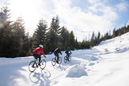 DGER SOM DETTE: De vinterbrøytede grusveiene i Nordmarka er et eldorado for Oslo-syklister. Ring 4 er den mest populære vinterrunden av alle. Foto: Henrik Alpers. DGER SOM DETTE: De vinterbrøytede grusveiene i Nordmarka er et eldorado for Oslo-syklister. Ring 4 er den mest populære vinterrunden av alle. Foto: Henrik Alpers.