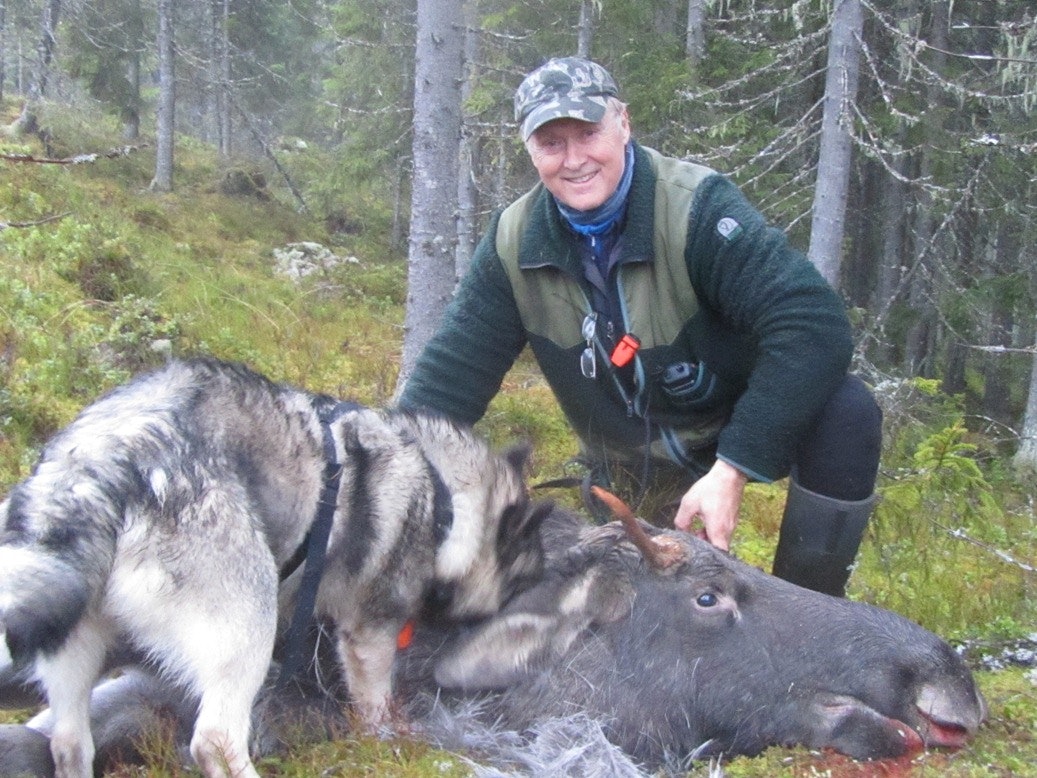 HADDE IDEEN: Det var Arne Myklebust i Våler som sammen med Stein Lier-Hansen under en elgjakt i Åsnes fikk ideen om en viltlandslinje. (Foto: Privat). HADDE IDEEN: Det var Arne Myklebust i Våler som sammen med Stein Lier-Hansen under en elgjakt i Åsnes fikk ideen om en viltlandslinje. (Foto: Privat).