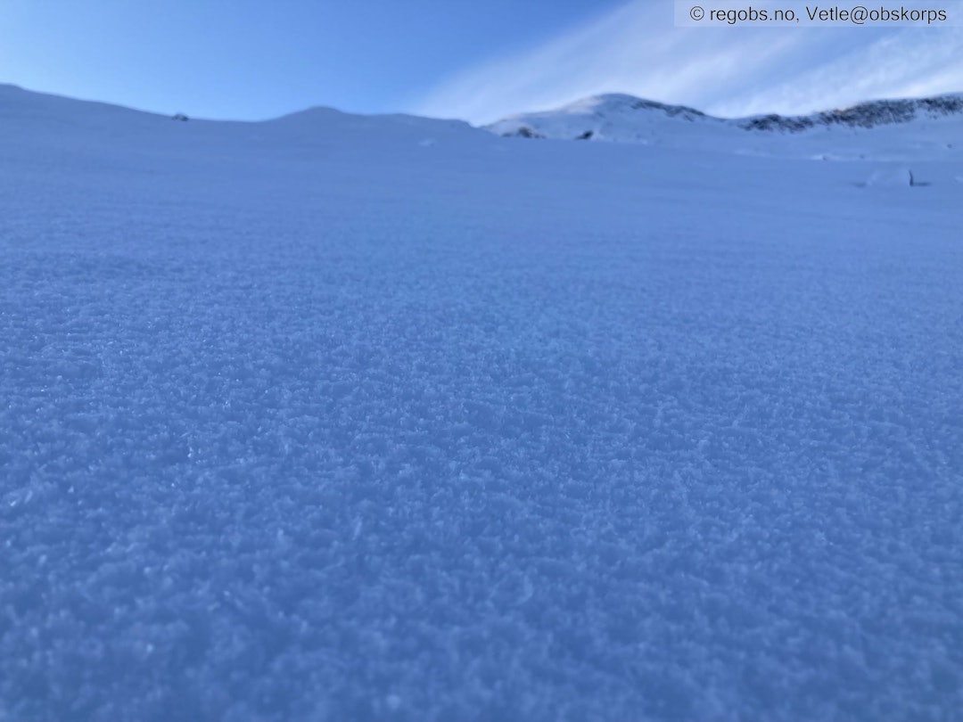 OVERFLATERIM: Kuldebehandla overflatesnø i Leirdalen i Sogn onsdag. Foto: vetle@obskorps OVERFLATERIM: Kuldebehandla overflatesnø i Leirdalen i Sogn onsdag. Foto: vetle@obskorps