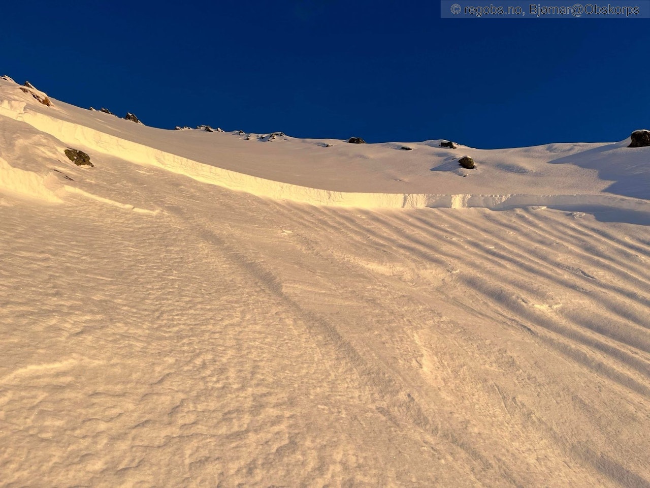 BRUDDKANTEN: Glideflaten ser ut til å være eldre skare fra oktober, da den ser ut til å være preget av regn. Mest trolig er det kantkorn over denne skaren som har fungert som et svakt lag. Flaket består av eldre fokksnø som i varierande grad er påvirket av langvarig kulde. Øvste laget er fint, mykt skiføre, heter det i observasjonen. Foto: Bjørnar Hovland/regobs skredet på langenestinden bruddkant