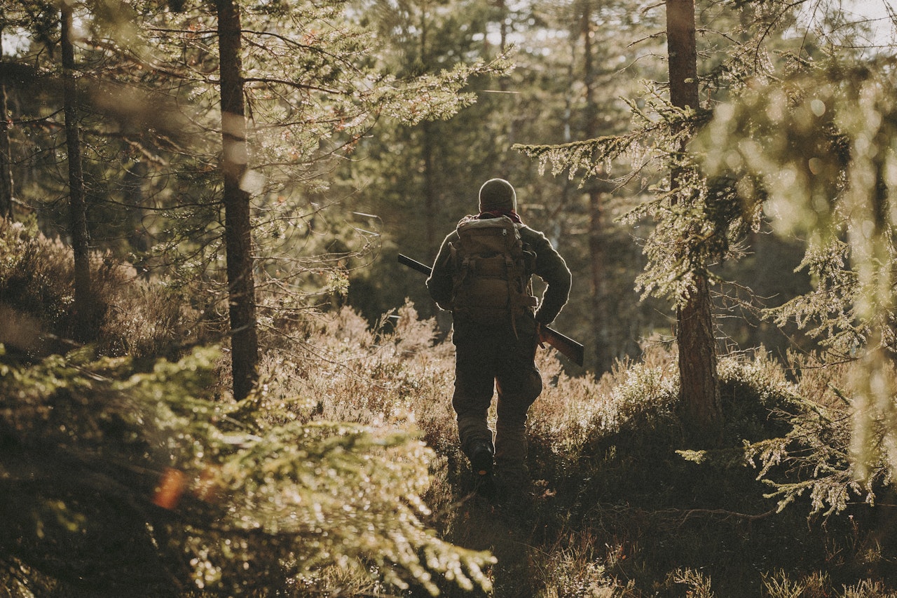 FÆRRE JEGERE: Dårlig rypebestand får skylden for at mange legger børsa på hylla. Foto: Kristoffer Kippernes FÆRRE JEGERE: Dårlig rypebestand får skylden for at mange legger børsa på hylla. Foto: Kristoffer Kippernes