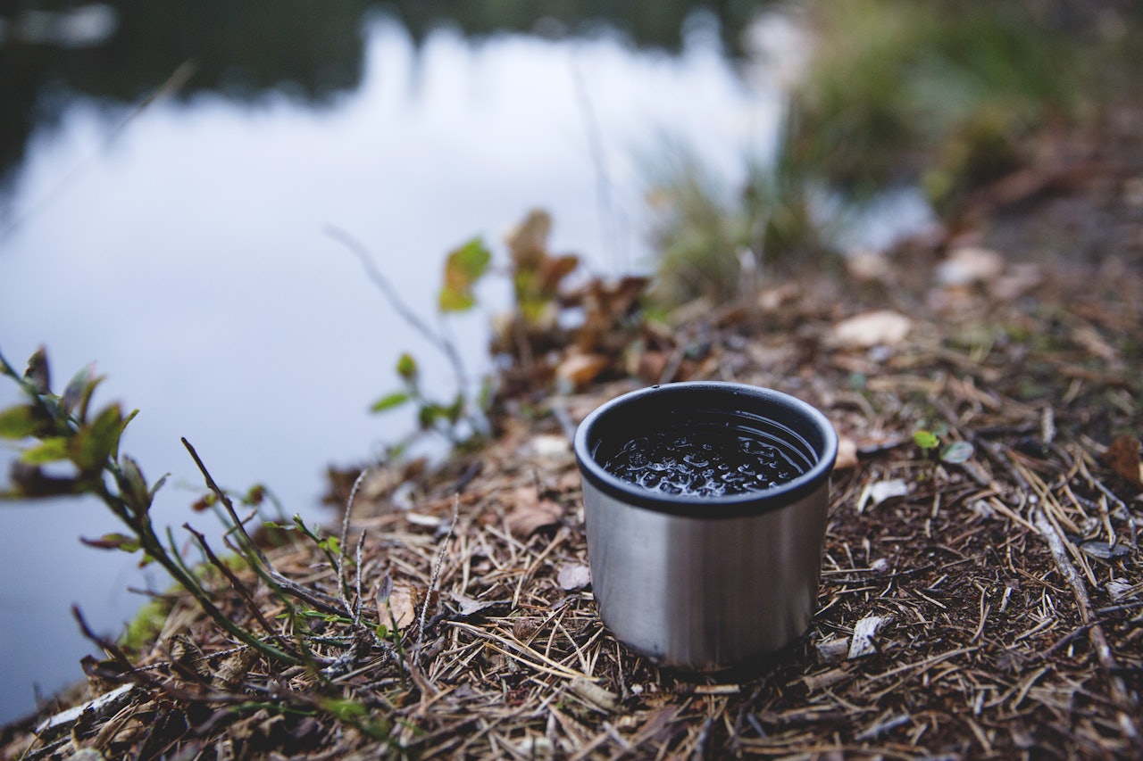 BLÅBÆRTE:  Tørka blåbær er lett å ta med og held seg lenge.  Foto: Sigrid Henjum blåbærte