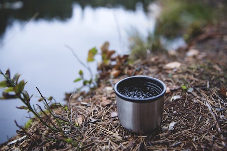 BLÅBÆRTE:  Tørka blåbær er lett å ta med og held seg lenge.  Foto: Sigrid Henjum blåbærte