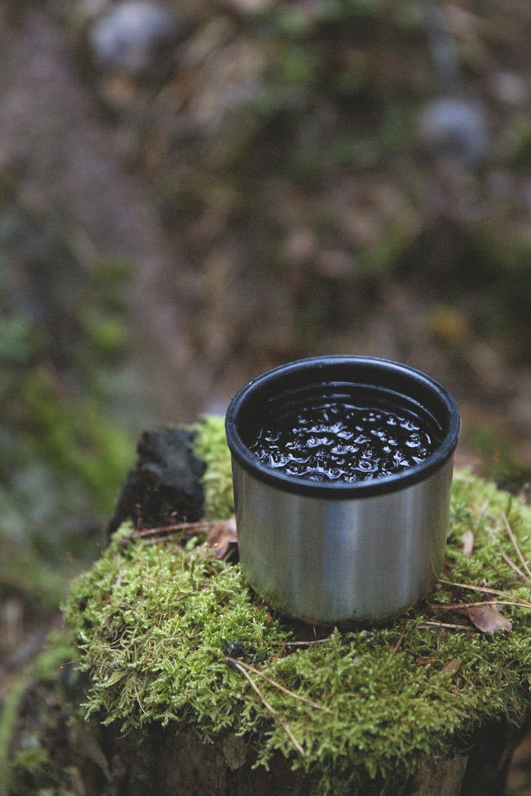 BLÅBÆR: Tørking er enkelt og gir lette råvarer som held seg lenge og er perfekt turmat. Slik kan du bruka dei utover hausten og vinteren. blåbærte