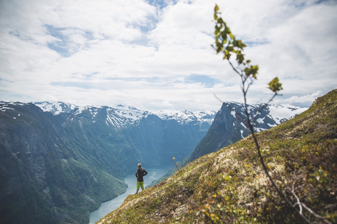 NÆRØYFJORDEN: Stian Aadland står på toppen av Breiskrednosi og ser ned på Nærøyfjorden. I disse bratte skråningene springer hjort og ryper. NÆRØYFJORDEN: Stian Aadland står på toppen av Breiskrednosi og ser ned på Nærøyfjorden. I disse bratte skråningene springer hjort og ryper.
