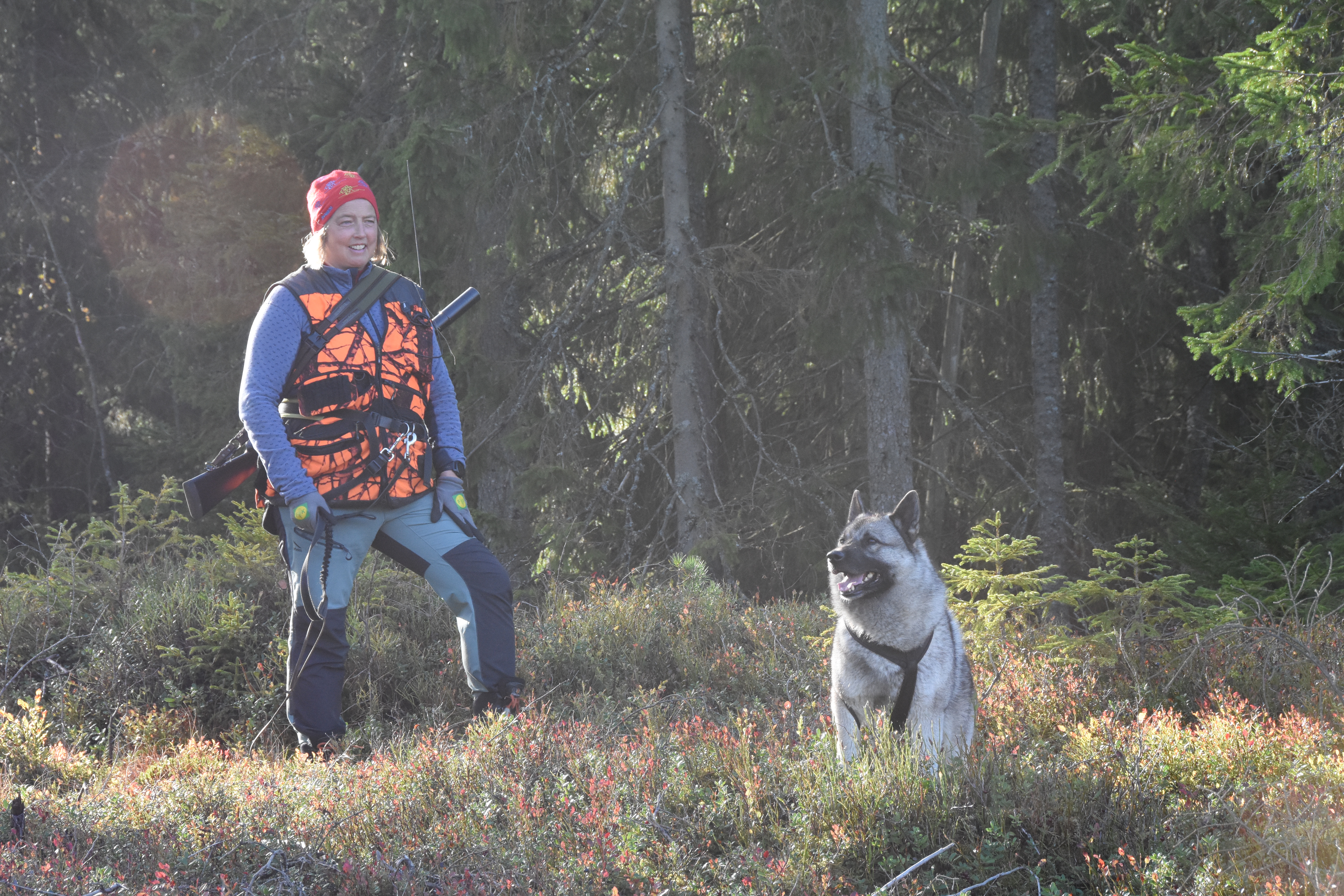 BANDHUND: Rakkestad har hatt en utpreget løshundskultur, forteller Ann Helen Aabogen Haugaard, men hun ser en tendens til at flere og flere får øynene opp for bandhunder.