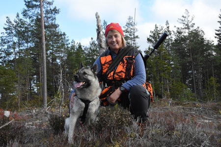 LESE HUNDEN: Noe som gjør bandhundjakta spesielt er det tette samarbeidet som må fungere mellom hund og fører. Her er Ann Helen Aabogen Haugaard med hunden Storm, han legger halen bakover når han kjenner godlukt. En av hennes andre hunder løfter på beinet og peker som en fuglehund når hun kjenner elglukt. Uten å kunne forstå hva hunden sier deg, vil du ikke fungere som hundefører på bandhundjakt. LESE HUNDEN: Noe som gjør bandhundjakta spesielt er det tette samarbeidet som må fungere mellom hund og fører. Her er Ann Helen Aabogen Haugaard med hunden Storm, han legger halen bakover når han kjenner godlukt. En av hennes andre hunder løfter på beinet og peker som en fuglehund når hun kjenner elglukt. Uten å kunne forstå hva hunden sier deg, vil du ikke fungere som hundefører på bandhundjakt.