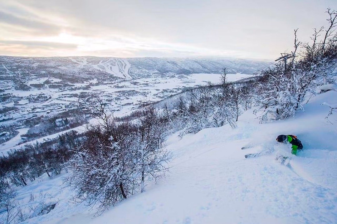 SKOGSKJØRING: Tilgjengelige skogslinjer i solsiden på Geilo gjør skistedet bedre enn ryktet det har fått. Foto: Vegard Breie