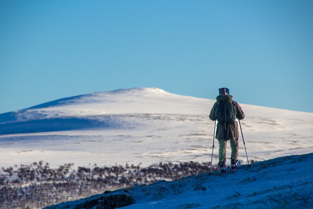Vinterfjellet: Ofte har man god oversikt over terrenget, med en kikkert blir jakta mer effektivt. Foto: Markus D. Holmer