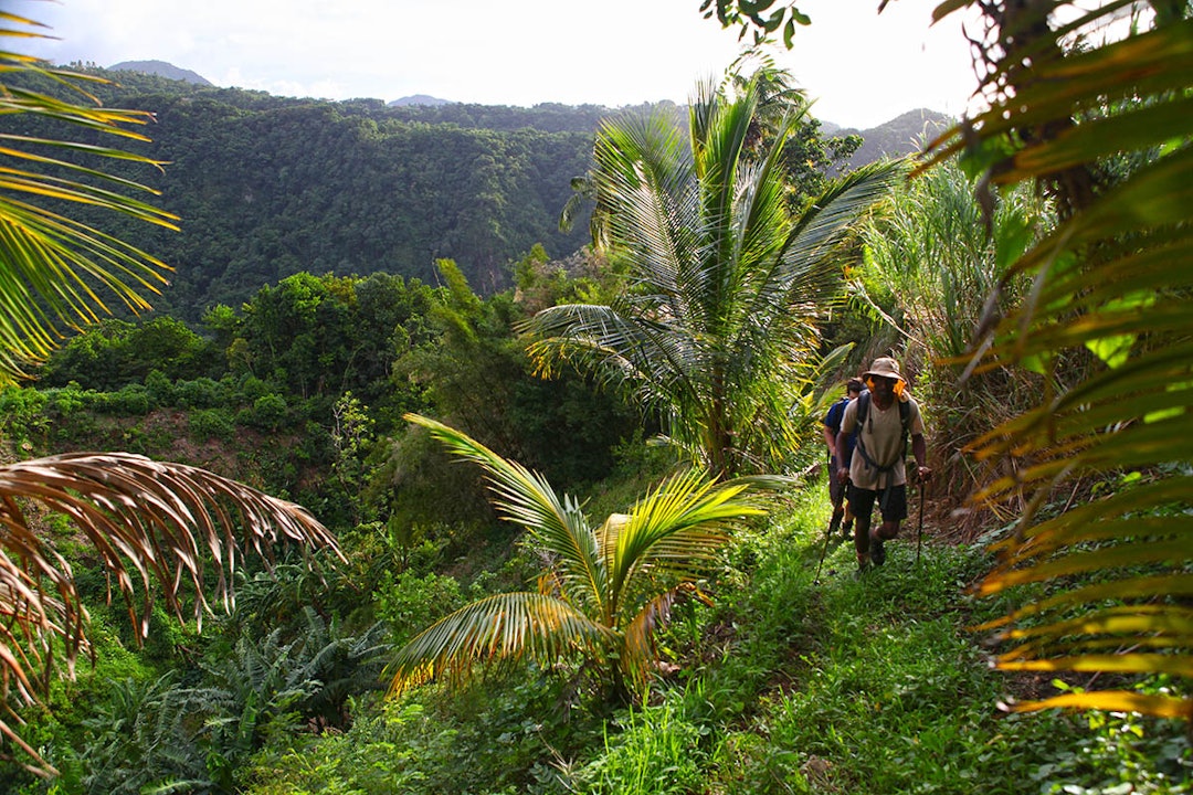 Waitukubuli National Trail