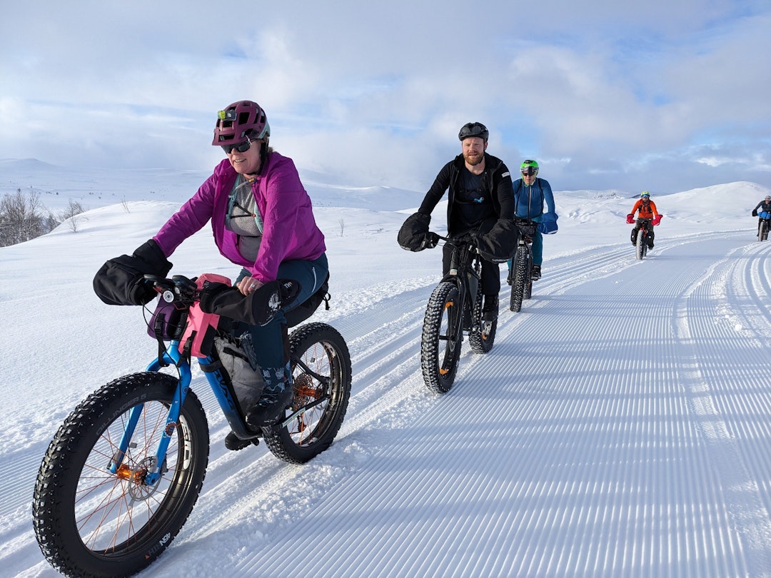 Foto: Nina Gässler. Foto: Nina Gässler.