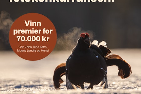Vilt premiebord: Sjekk hva du kan vinne i 2024! Vilt premiebord: Sjekk hva du kan vinne i 2024!