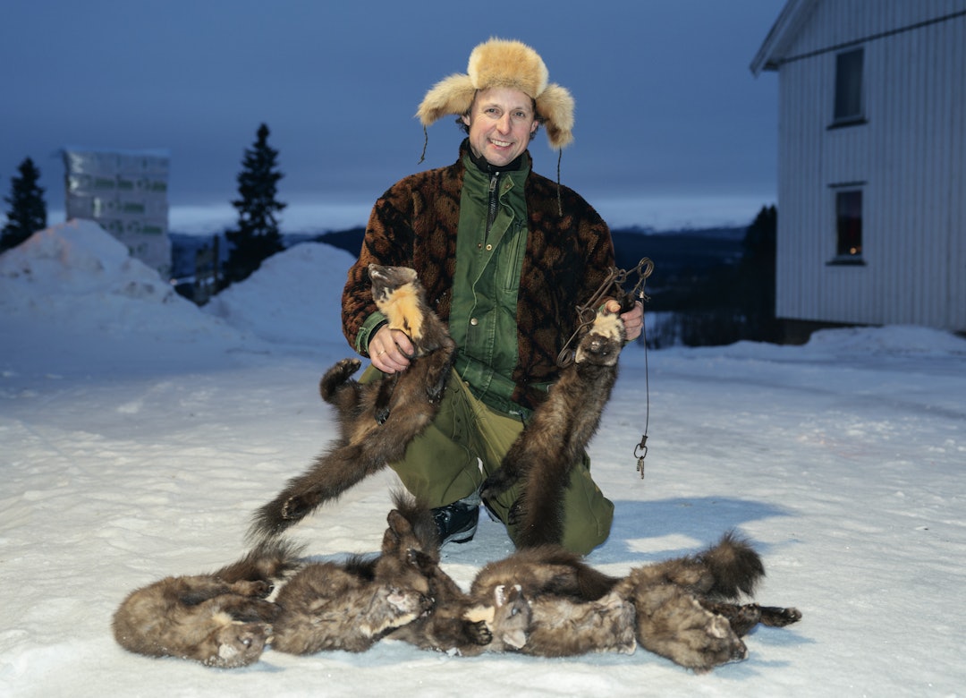GÅR MOT FANGSTREKORD: I løpet av sin fangstkarriere har Odd Jostein aldri fanget så mye mår tidlig i sesongen. Fem hanner og to tisper, var status 5. januar.