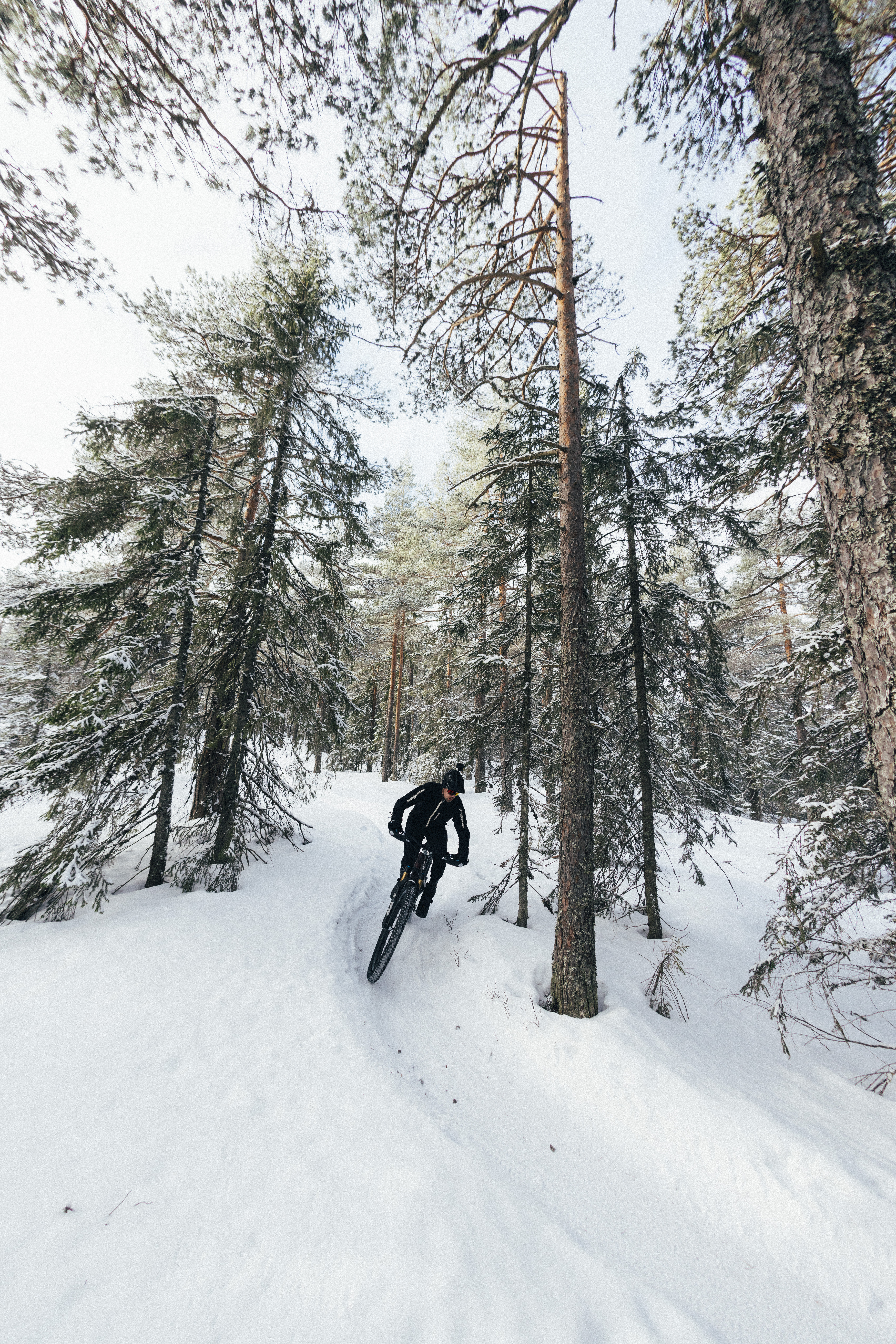 Pål Johansen sykkelmekaniker og løypeprepper TERRENGSYKKEL.NO