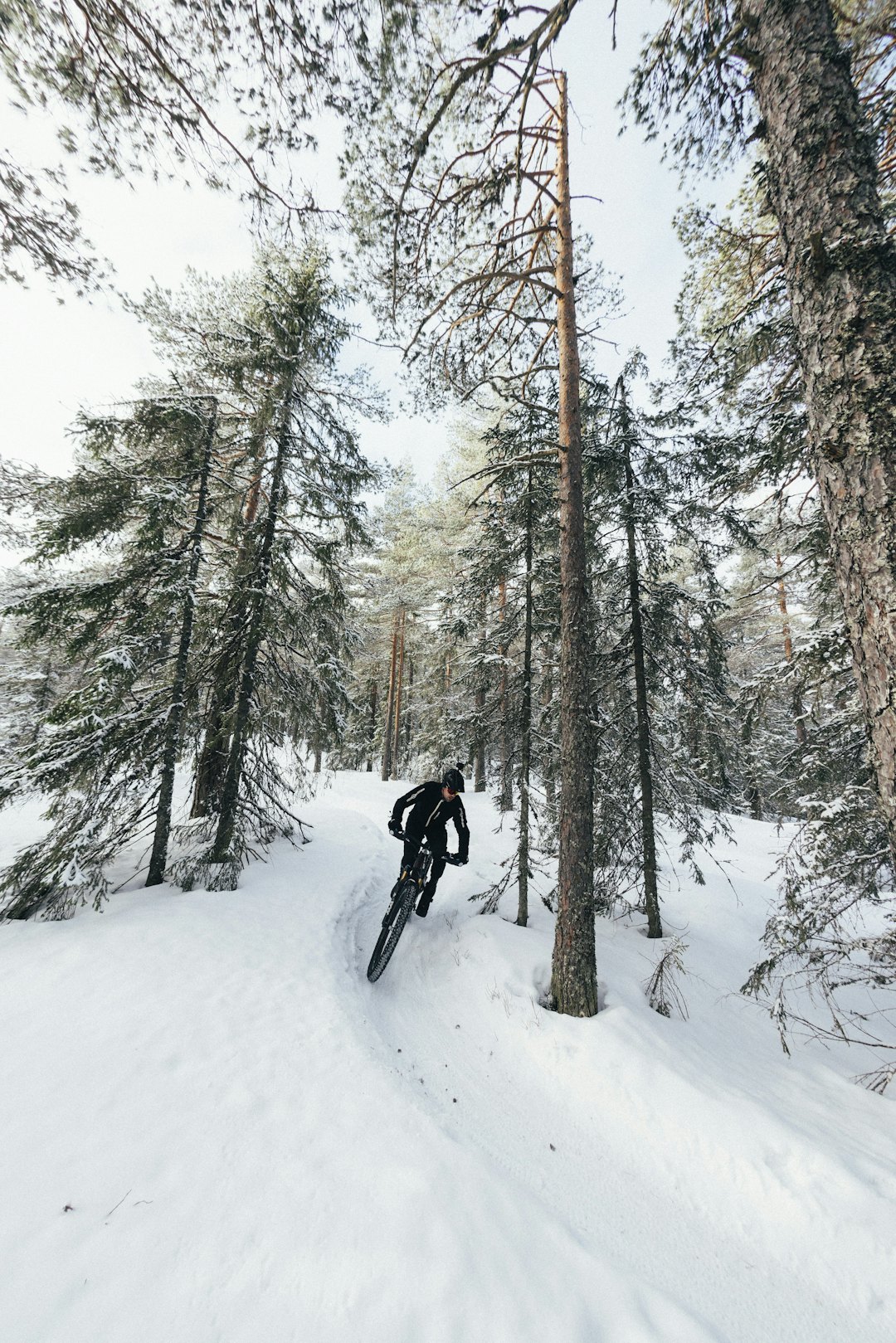 Pål Johansen sykkelmekaniker og løypeprepper TERRENGSYKKEL.NO