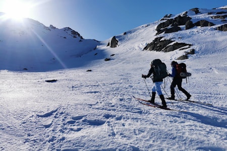 OVER HVERDAGEN: Slakt terreng være oppløftende nok. Langs kvistet løype mot Sandvatn. Foto: Øyvind Salvesen  OVER HVERDAGEN: Slakt terreng være oppløftende nok. Langs kvistet løype mot Sandvatn. Foto: Øyvind Salvesen