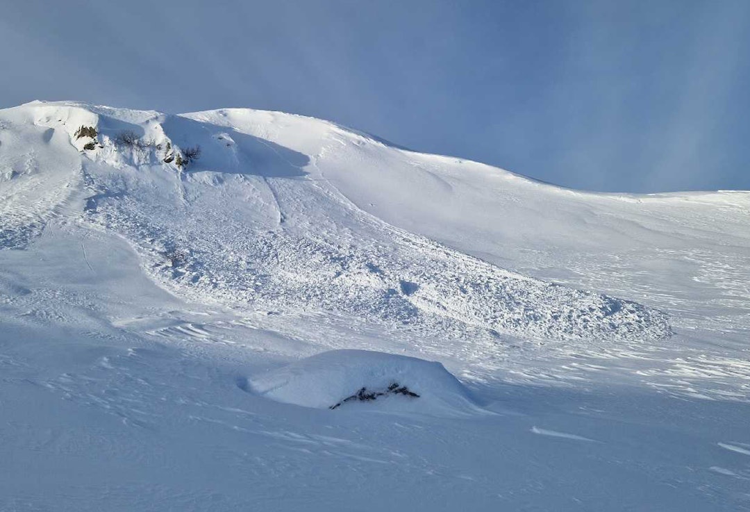 GIKK AV SEG SELV: Naturlig utløst skred i Sogndal. Foto: Kristiana@vlfk / Regobs snøskred