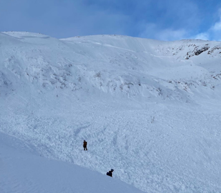 SKREDKVELD: Skredkveldene er viktig både for nybegynner og som oppfriskning for erfarne oppturfolk, skriver Varsom. Bildet er av et stort skred som ble fjernutløst på Buren i Tromsø forrige vinter. Foto: Regobs/hendelse@nve SKREDKVELD: Skredkveldene er viktig både for nybegynner og som oppfriskning for erfarne oppturfolk, skriver Varsom. Bildet er av et stort skred som ble fjernutløst på Buren i Tromsø forrige vinter. Foto: Regobs/hendelse@nve