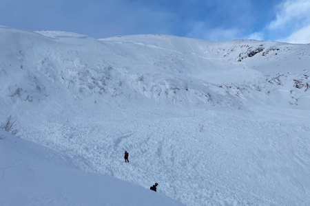 SKREDKVELD: Skredkveldene er viktig både for nybegynner og som oppfriskning for erfarne oppturfolk, skriver Varsom. Bildet er av et stort skred som ble fjernutløst på Buren i Tromsø forrige vinter. Foto: Regobs/hendelse@nve SKREDKVELD: Skredkveldene er viktig både for nybegynner og som oppfriskning for erfarne oppturfolk, skriver Varsom. Bildet er av et stort skred som ble fjernutløst på Buren i Tromsø forrige vinter. Foto: Regobs/hendelse@nve