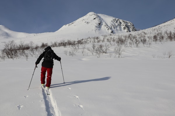 mann med ryggen til på skitur i fjellet