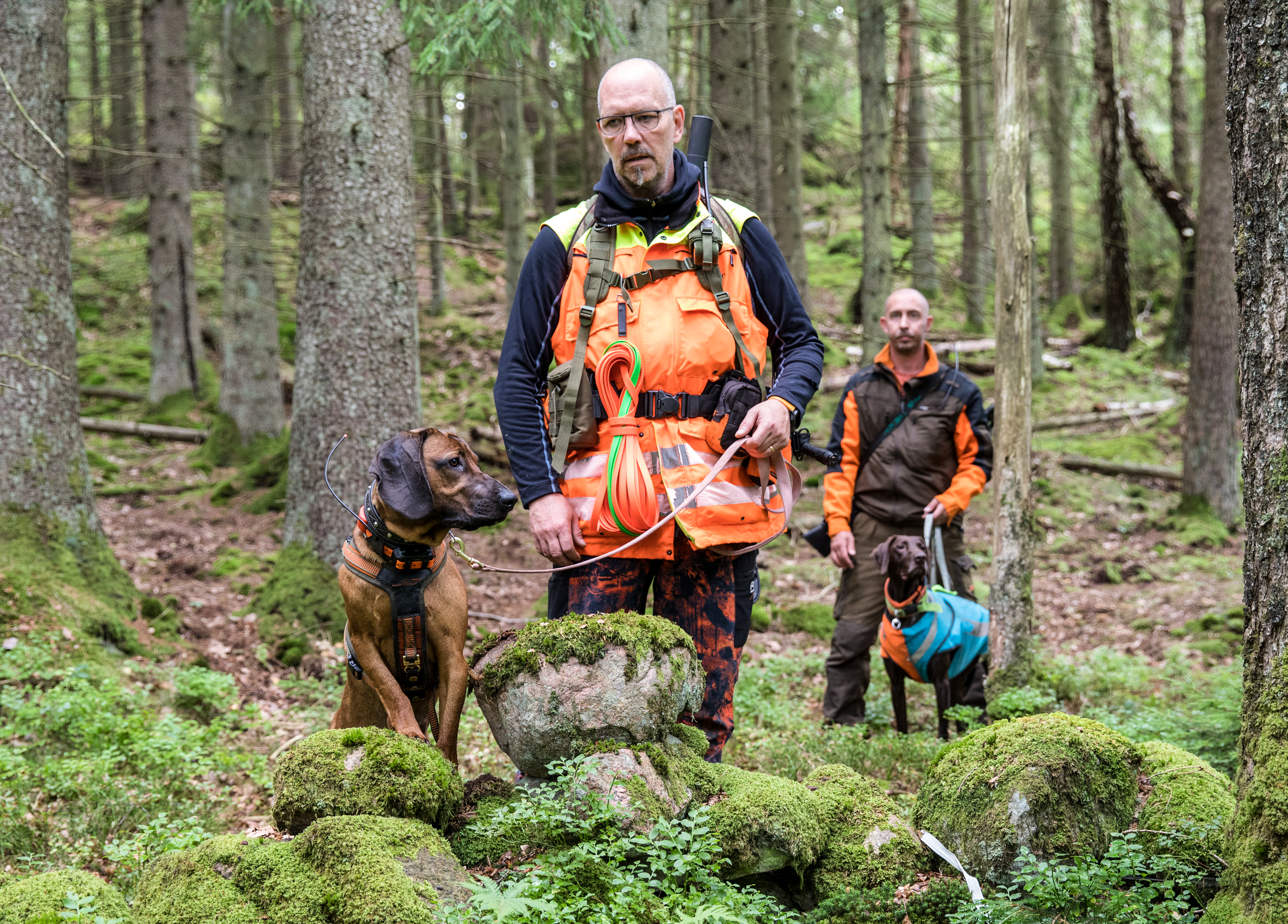 To hundeførere med hver sin hund. En sporhund og en slipphund.
