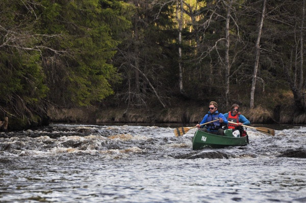 STRYK: Medstrøms er ålreit, men krever også litt konsentrasjon. Foto: Sandra Lappegard kanopadling julussa