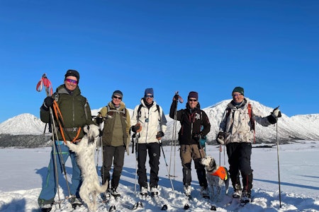 ENGELSK SETTER: Fjorårets vinnere av NM-lag. Hvem tar seieren i år? Foto: Privat NM Høyfjell vinter 2023