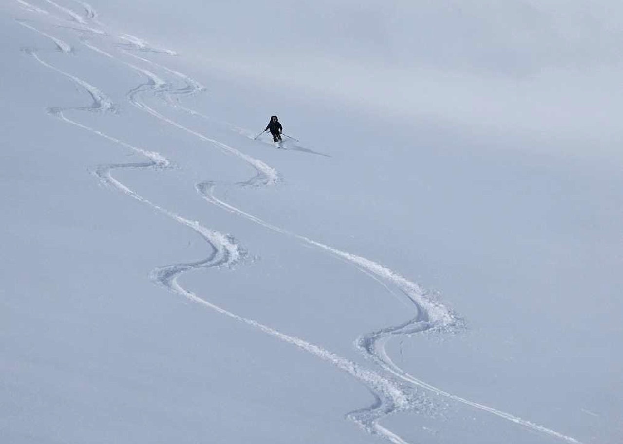 FIN SNØ: Dette er fra Sunnmøre fredag 22. mars. Foto: calle@obskorps skikjøring i pudder