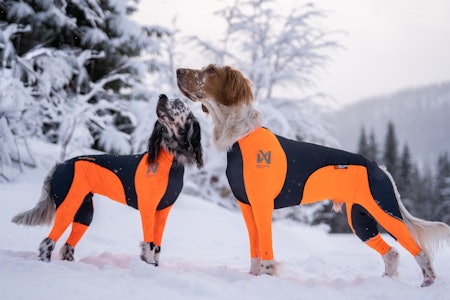SOM ET SKUDD : Tispemodell i størrelse S (18kg) og hannhundmodell i størrelse M (24 kg) satt helt optimalt på disse to. Tispemodell i størrelse S (18kg) og hannhundmodell i størrelse M (24 kg) satt helt optimalt på disse to.