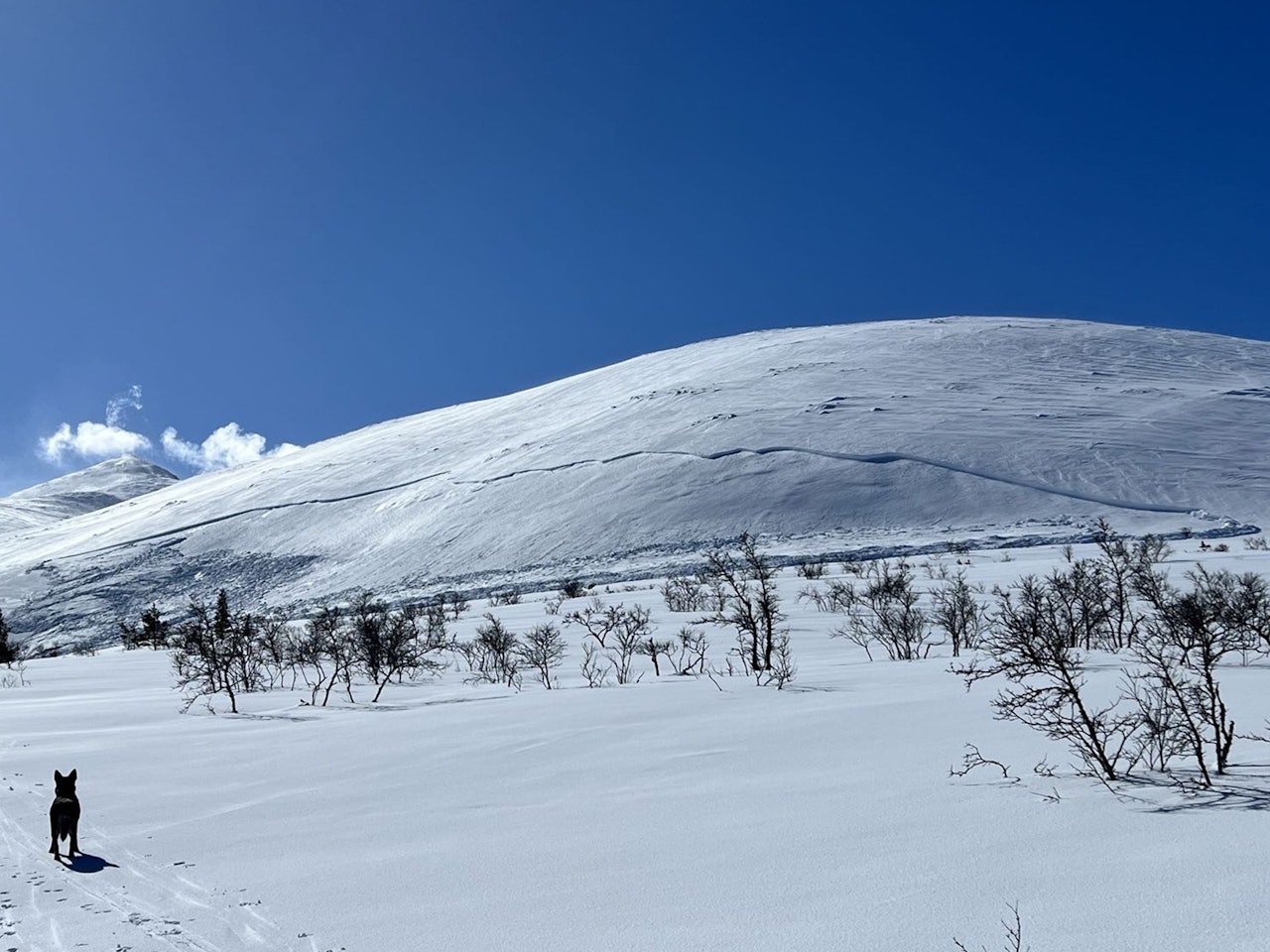 UTANFOR VARSLINGSREGION: Dette snøskredet gjekk i Rendalen i Hedmark påskeaften. Foto: OML / regobs snøskred på rundt fjell