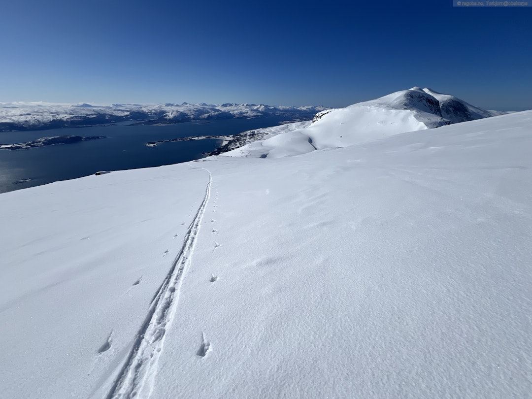 MINDRE STABILT: Fine forhold i Bodø, men det meldes om tegn på at skredfaren kan bli verre i nord. Foto: torbjorn@obskorps / regobs skispor på fjellet med fjord i bakgrunnen