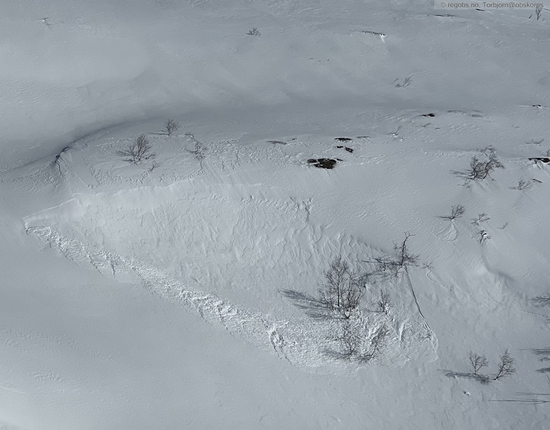 VED BODØ: Lite, naturlig utløst snøskred i Salten Nordland. Foto: torbjorn@obskorps / regobs lite snøskred