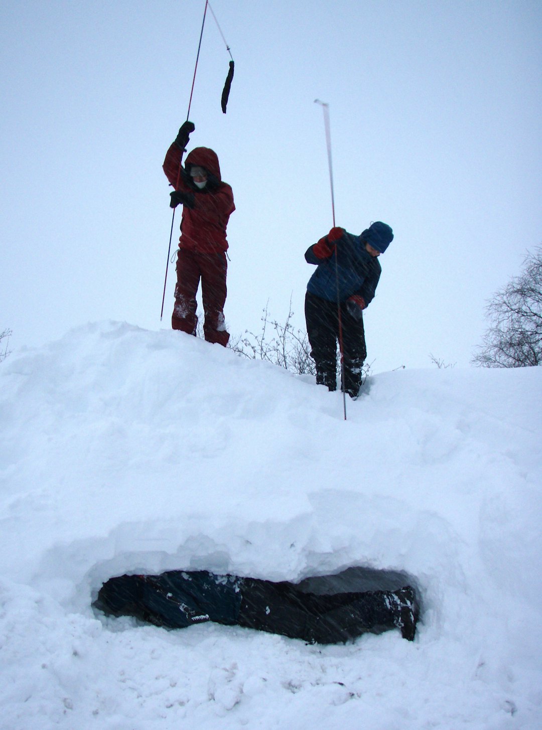 ØVELSE: Søkestenger brukes for å lokalisere skredtatte under snøen. Foto: Christer Lundberg Nes to personer som søker med søkestang