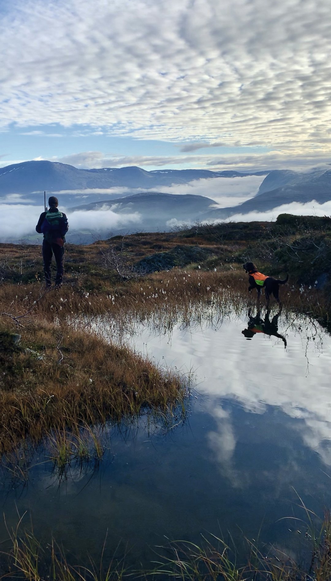 SØLV: Dette innholdsrike bildet kapret andreplass i første runde. Foto: Frida Jørgensen SØLV: Dette innholdsrike bildet kapret andreplass i første runde. Foto: Frida Jørgensen