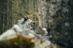 POPULÆRT: Det har blitt bygget over 100 kilometer sti i Hallingdal siden 2015. Det har gitt ringvirkninger i lokalsamfunnet, slår en ny rapport fast. Foto: Kristoffer H. Kippernes. stisykling hallingdal ringvirkninger