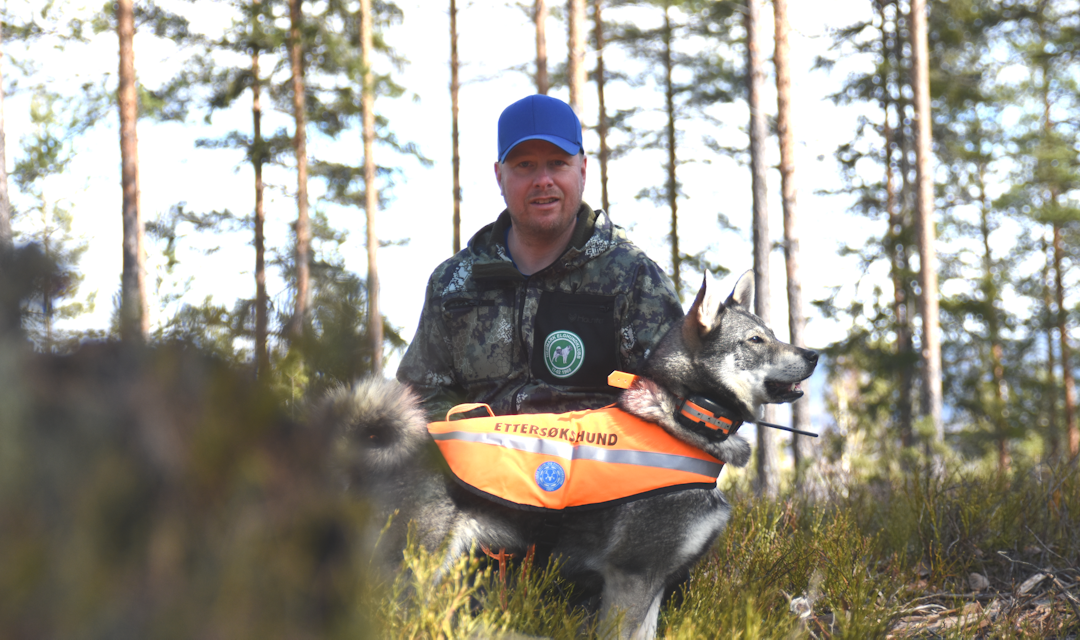ETTERSØK: Jan Aabakken og jämthundstispa Diva er en av ti ekvipasjer som er utdannet av NJFF til ettersøk på villsvin.
