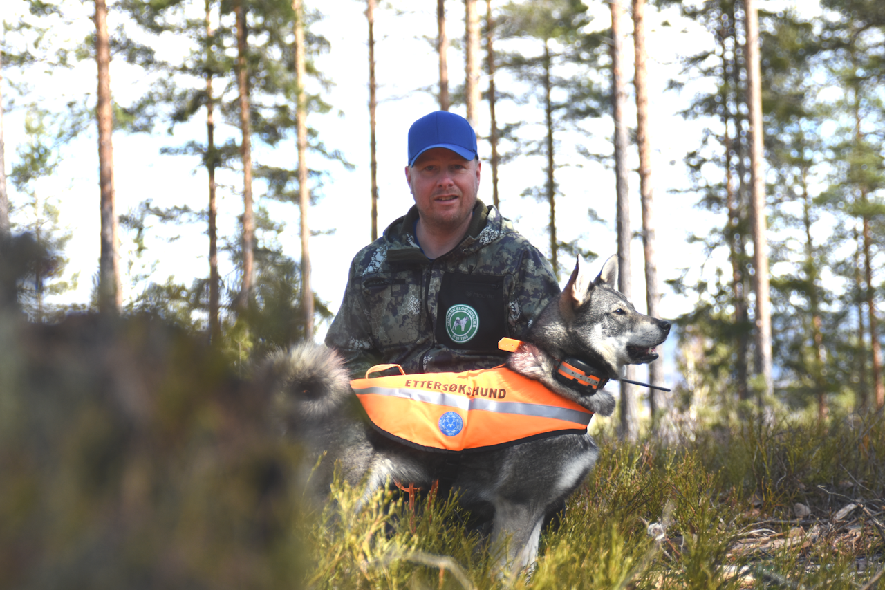 ETTERSØK: Jan Aabakken og jämthundstispa Diva er en av ti ekvipasjer som er utdannet av NJFF til ettersøk på villsvin.